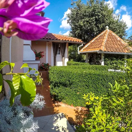 Apartmán Vintijan Pula