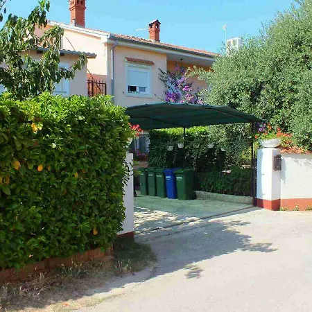 Vintijan